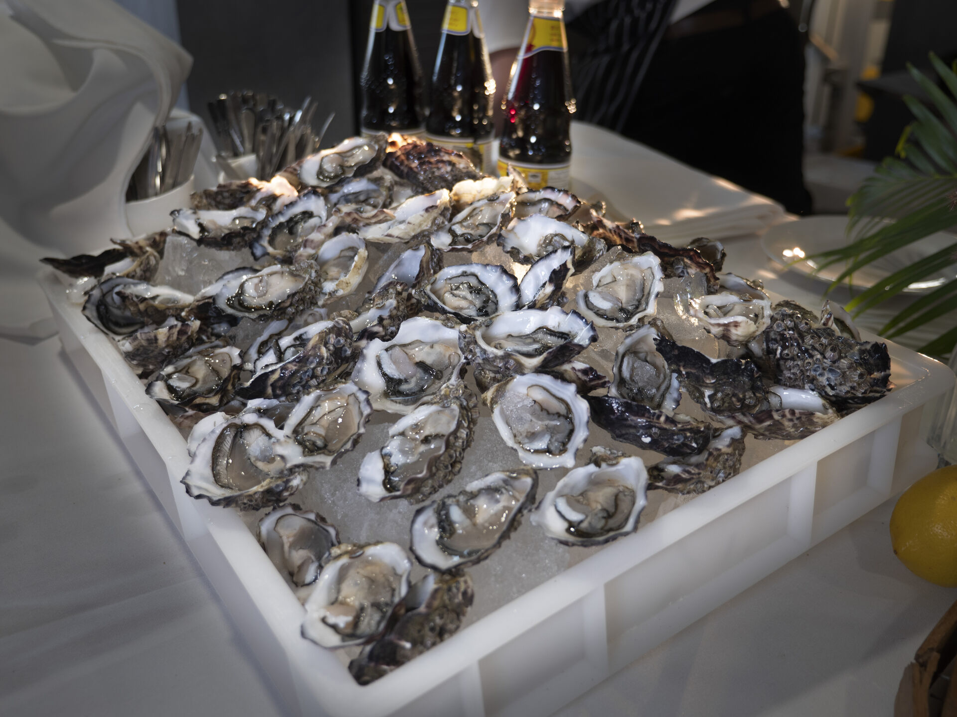 Event food - oysters