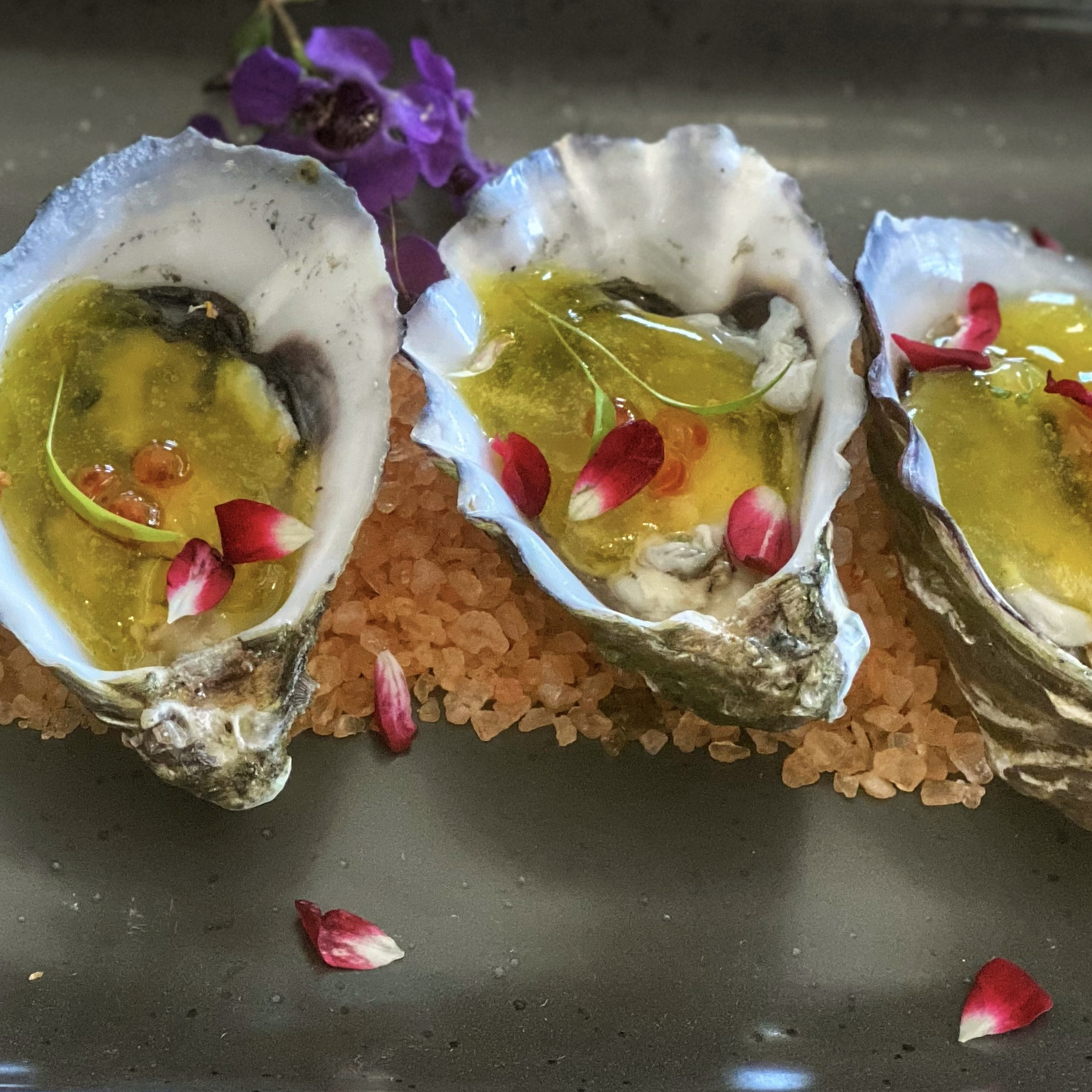 Oysters with lemon saffron gel